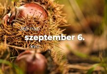 Szeptember 6. Kvíz - szeptember 6.