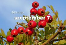 Szeptember 7. Kvíz - szeptember 7.