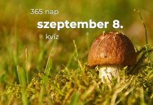 Szeptember 8. Kvíz - szeptember 8.