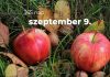 Szeptember 9. Kvíz - szeptember 9.