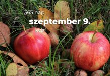 Szeptember 9. Kvíz - szeptember 9.
