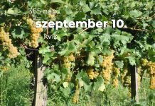 Szeptember 10. Kvíz - szeptember 10.