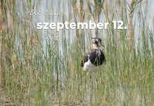 Szeptember 12. Kvíz - szeptember 12.