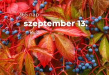 Szeptember 13. Kvíz - szeptember 13.