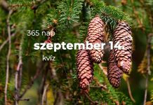 Szeptember 14. Kvíz - szeptember 14.