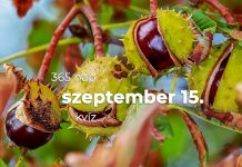 Szeptember 15. Kvíz - szeptember 15.