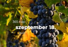 Szeptember 18. Kvíz - szeptember 18.