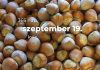 Szeptember 19. Kvíz - szeptember 19.