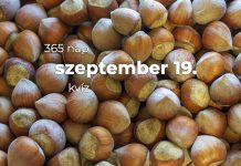 Szeptember 19. Kvíz - szeptember 19.