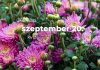 Szeptember 20. Kvíz - szeptember 20.