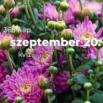 Szeptember 20. Kvíz - szeptember 20.