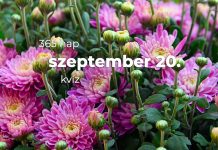 Szeptember 20. Kvíz - szeptember 20.