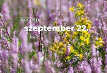 Szeptember 22. Kvíz - szeptember 22.