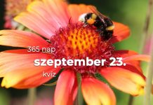 Szeptember 23. Kvíz - szeptember 23.