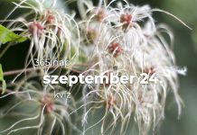 Szeptember 24. Kvíz - szeptember 24.