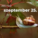 Szeptember 25. Kvíz - szeptember 25.