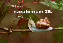 Szeptember 25. Kvíz - szeptember 25.