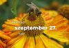 Szeptember 27. Kvíz - szeptember 27.
