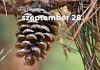 Szeptember 28. Kvíz - szeptember 28.