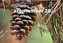 Szeptember 28. Kvíz - szeptember 28.