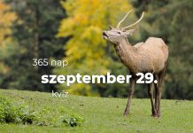 Szeptember 29. Kvíz - szeptember 29.