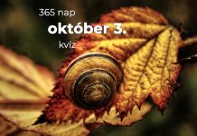 Október 3. Kvíz - október 3.