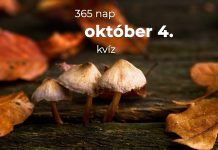 Október 4. Kvíz - október 4.