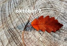 Október 7. Kvíz - október 7.