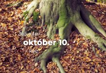 Október 10. Kvíz - október 10.