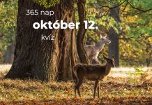 Október 12. Kvíz - október 12.