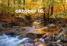 Október 16. Kvíz - október 16.