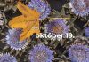 Október 19. Kvíz - október 19.