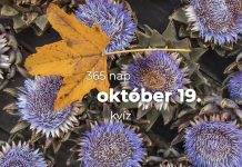 Október 19. Kvíz - október 19.