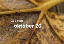 Október 20. Kvíz - október 20.