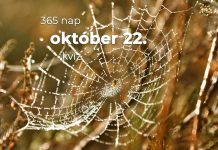 Október 22. Kvíz - október 22.