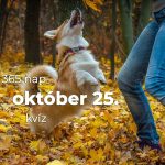 Október 25. Kvíz - október 25.