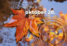 Október 28. Kvíz - október 28.