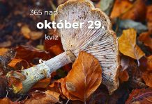 Október 29. Kvíz - október 29.