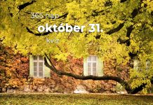 Október 31. Kvíz - október 31.