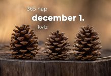 December 1. Kvíz - december 1.