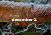 December 2. Kvíz - december 2.