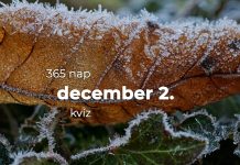 December 2. Kvíz - december 2.