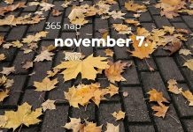 November 7. Kvíz - november 7.