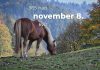November 8. Kvíz - november 8.