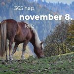 November 8. Kvíz - november 8.