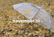 November 10. Kvíz - november 10.