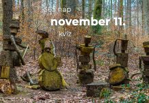 November 11. Kvíz - November 11.