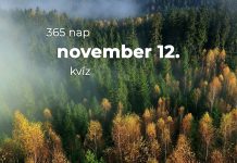 November 12. Kvíz - november 12.