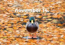 November 14. Kvíz - november 14.