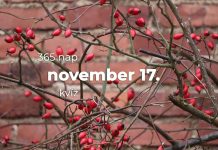 November 17. Kvíz - november 17.